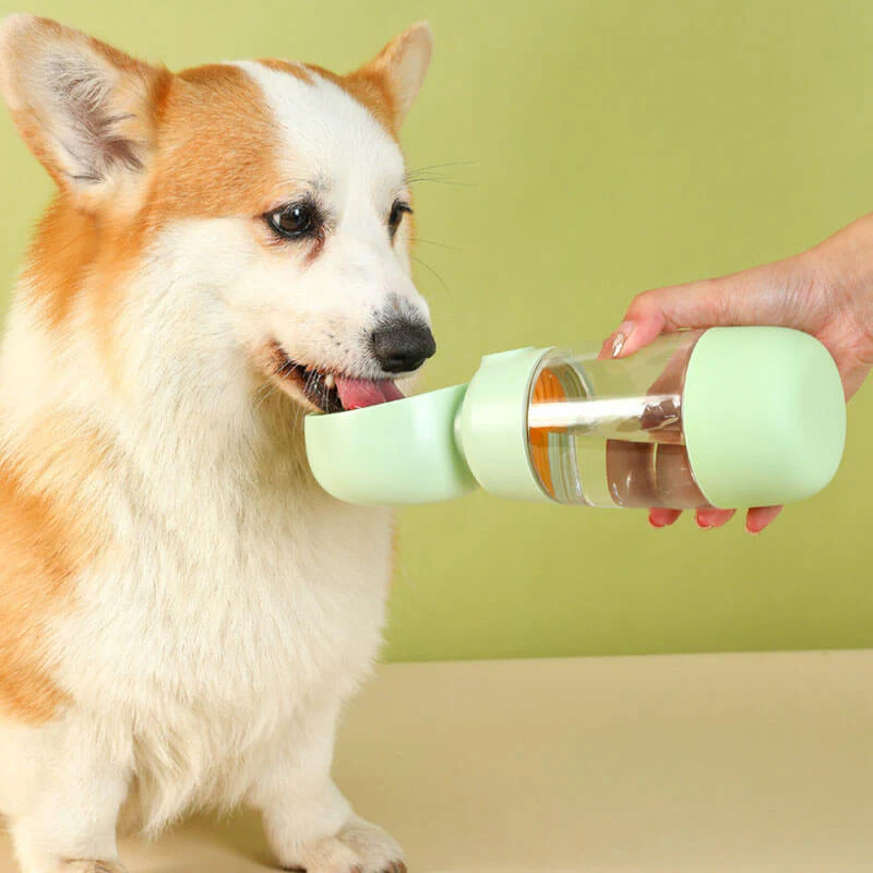2 en 1 Bouteille d'Eau Portable pour Chien en Extérieur - Image 2