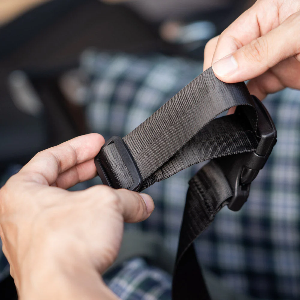 Ceinture de sécurité pour chien Sangles réglables multifonctions - Image 4