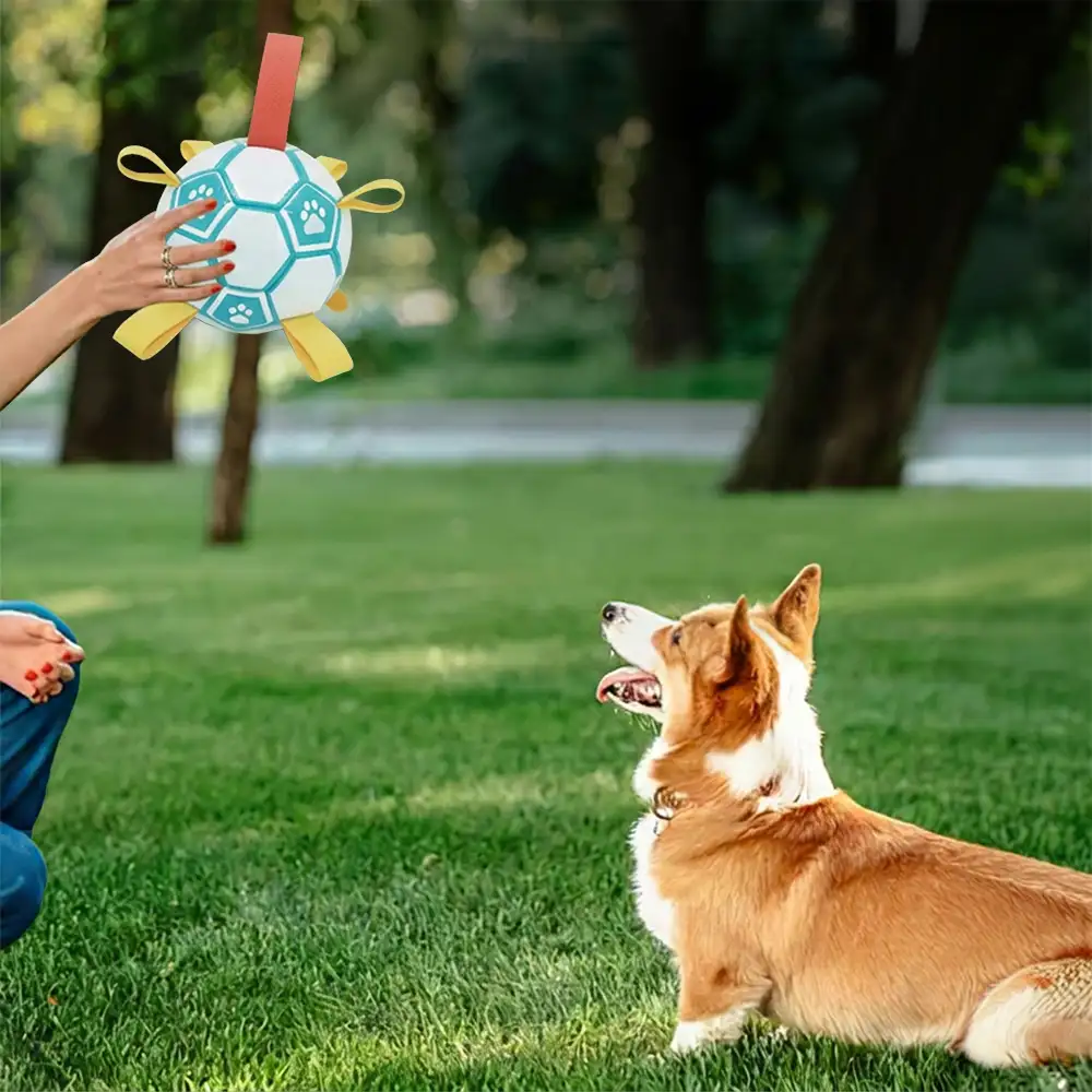 Balle de soccer en forme d'empreinte de patte pour chien avec sangles. - Image 5