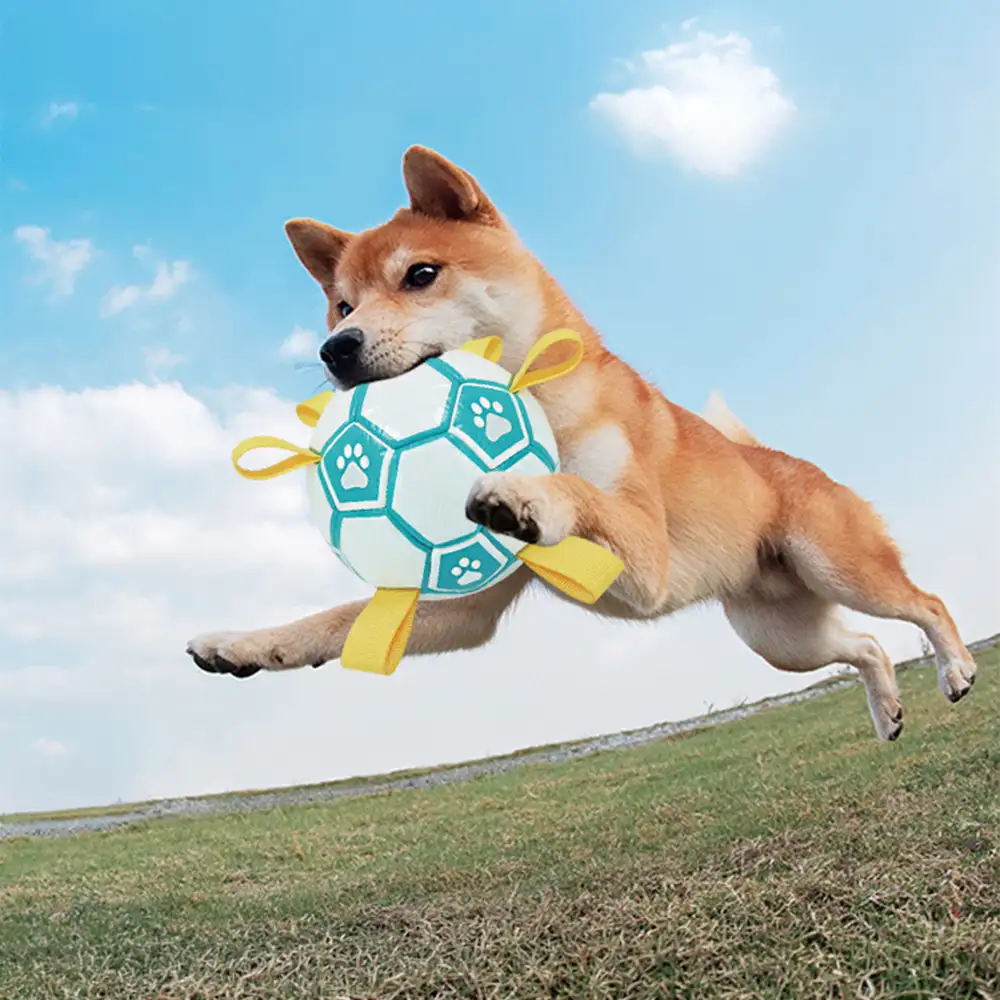 Balle de soccer en forme d'empreinte de patte pour chien avec sangles. - Image 7