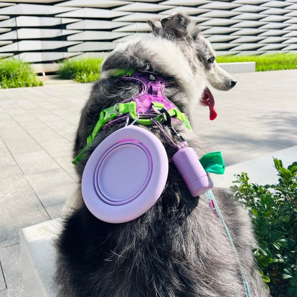 Bol pliant pour animaux de compagnie Bol en silicone portable - Image 5