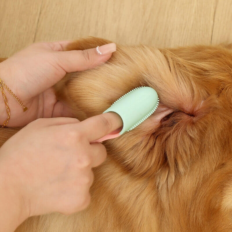 Brosse à dents doigt pour animaux nettoyage dentaire-Exclusif app - Image 12