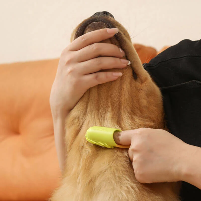 Brosse à dents doigt pour animaux nettoyage dentaire-Exclusif app - Image 13