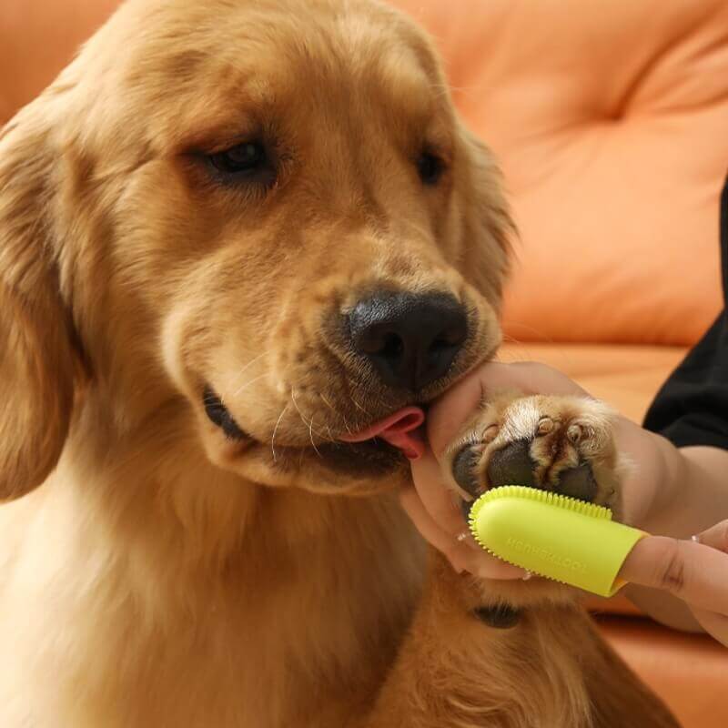 Brosse à dents doigt pour animaux nettoyage dentaire-Exclusif app - Image 14