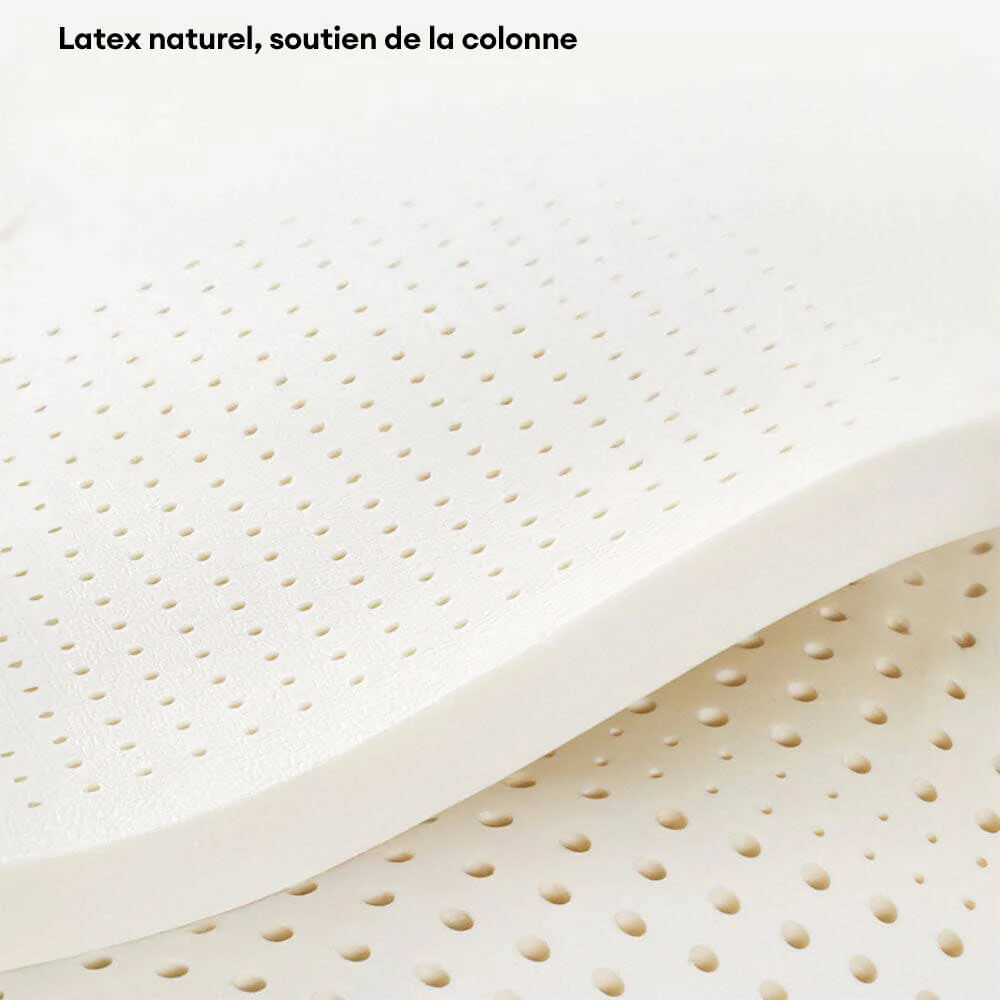 Canapé-lit de luxe en latex naturel pour chien et chat anti-rayures - Image 3