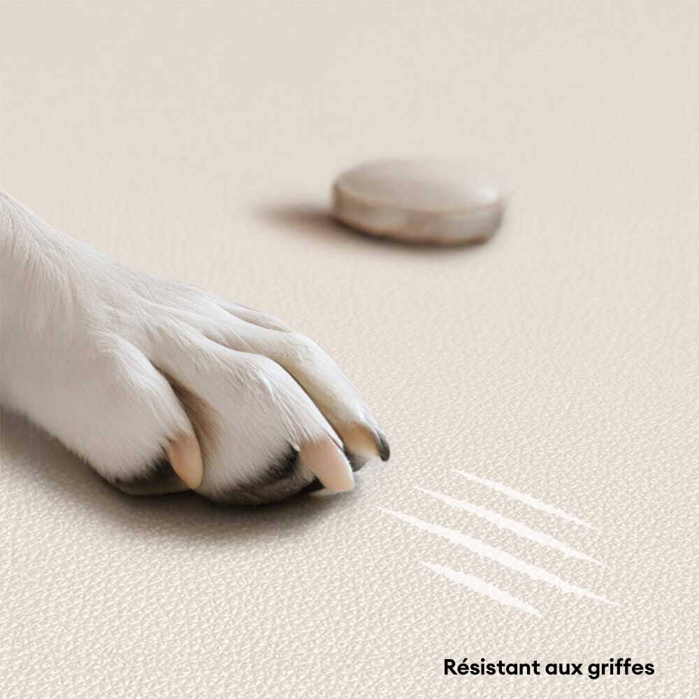 Canapé-lit de luxe en latex naturel pour chien et chat anti-rayures - Image 5