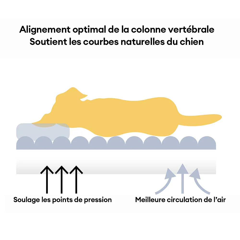 Canapé-lit orthopédique pour chien avec appui-tête souple et confortable modèle - Panier Nuage - Image 4