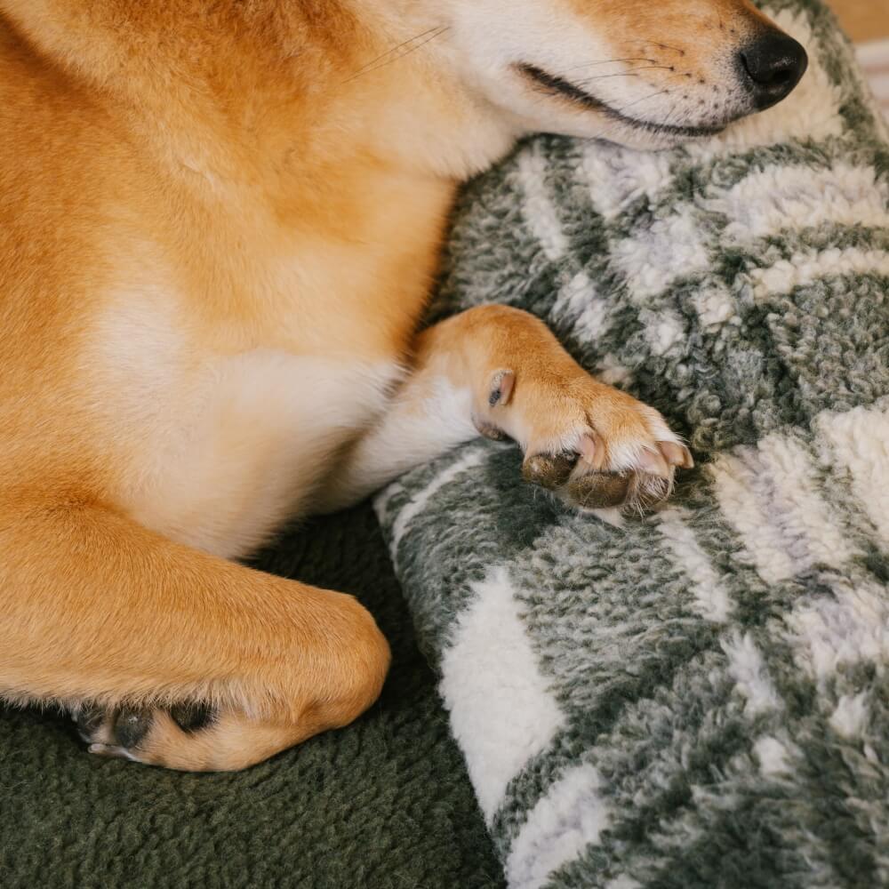 Canapé-lit pour chien et chat apaisant lavable à carreaux vintage - Image 18