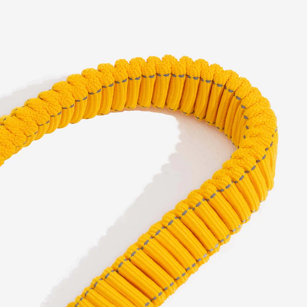 Ceinture de sécurité ajustable pour chien - Image 11