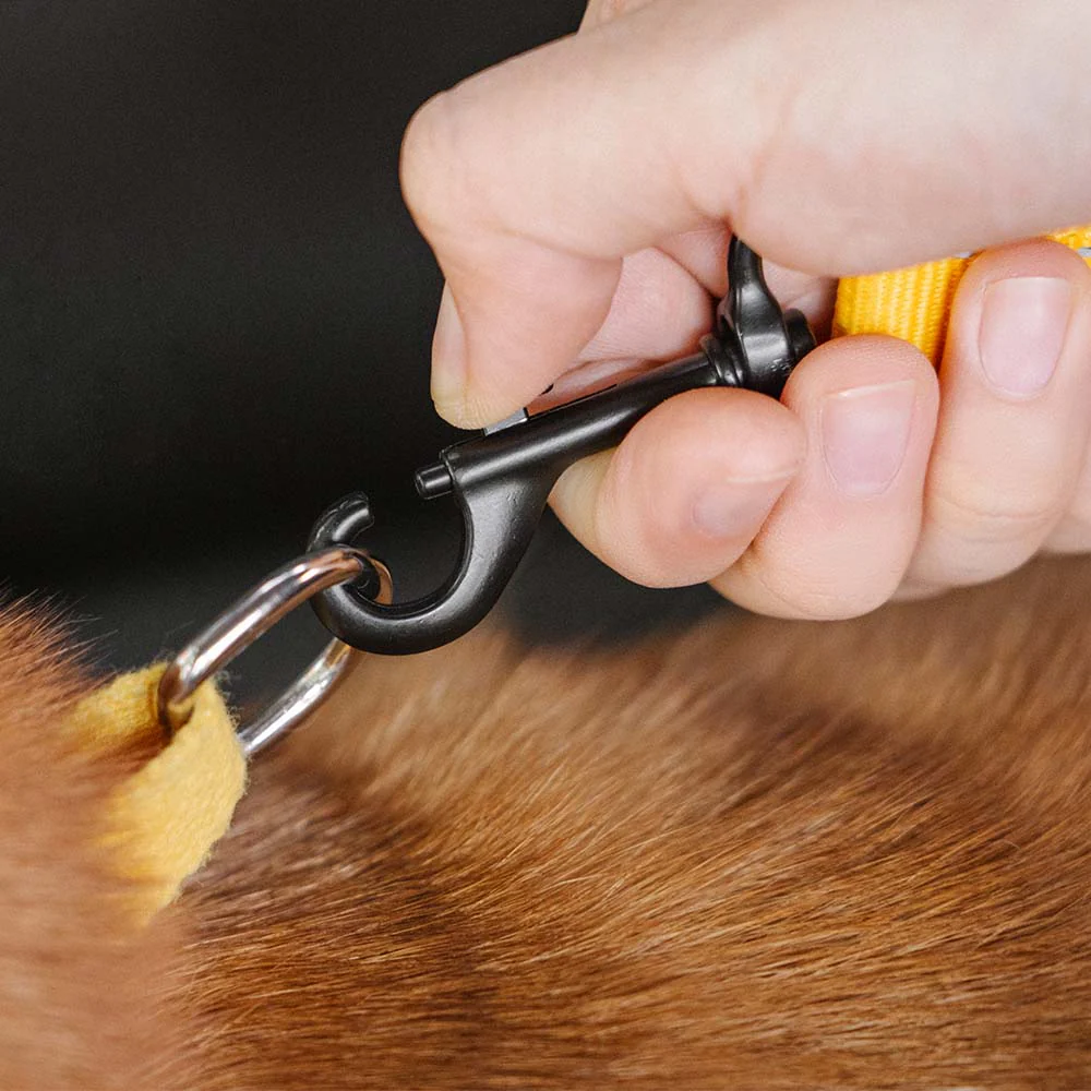 Ceinture de sécurité ajustable pour chien - Image 6