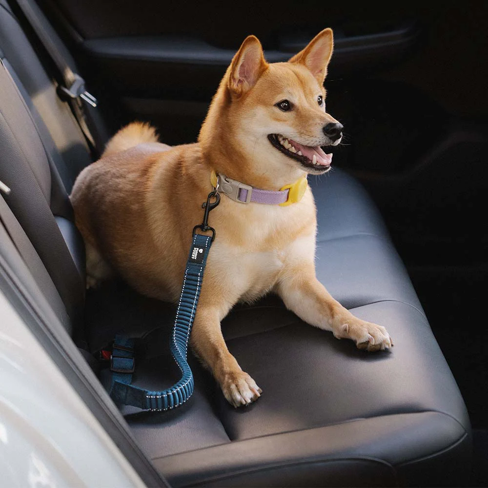 Ceinture de sécurité ajustable pour chien - Image 8