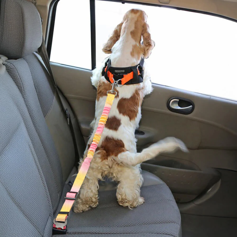 Ceinture de sécurité pour animaux avec amorti élastique dégradé - Image 3