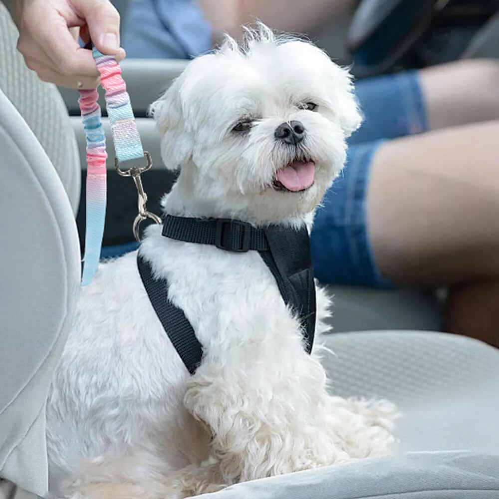 Ceinture de sécurité pour animaux avec amorti élastique dégradé - Image 4