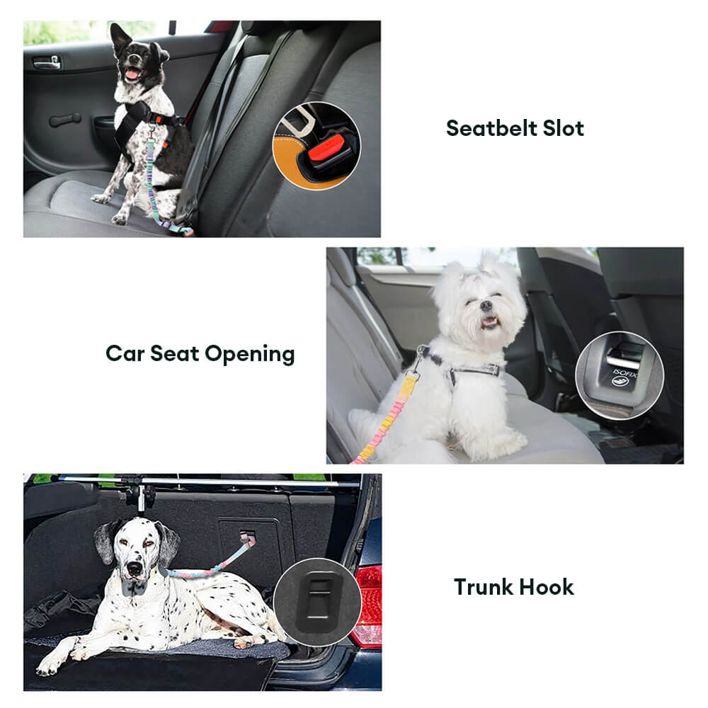 Ceinture de sécurité pour animaux avec amorti élastique dégradé - Image 5