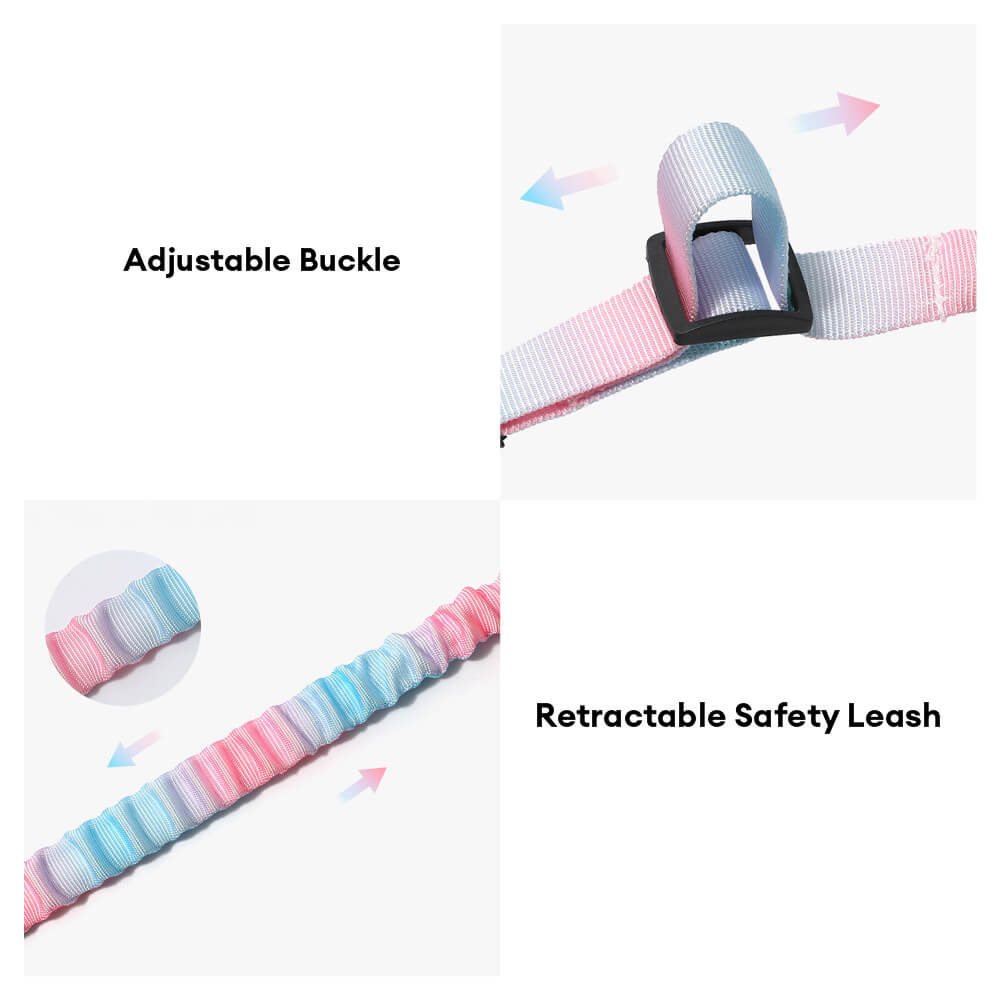 Ceinture de sécurité pour animaux avec amorti élastique dégradé - Image 6