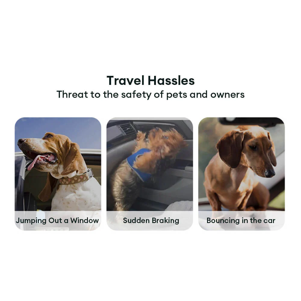 Ceinture de sécurité pour animaux avec amorti élastique dégradé - Image 7