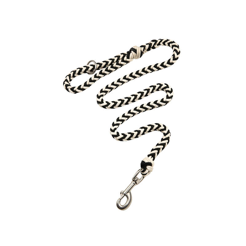 Collier et Laisse Lumineux Grand Chien Faits Main Anti-Traction - Image 10