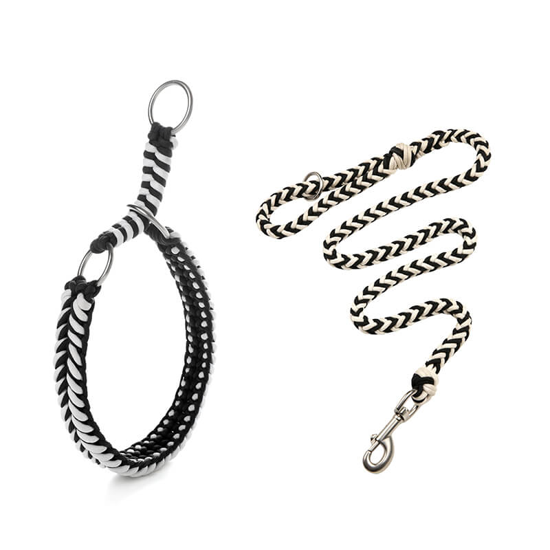 Collier et Laisse Lumineux Grand Chien Faits Main Anti-Traction - Image 11
