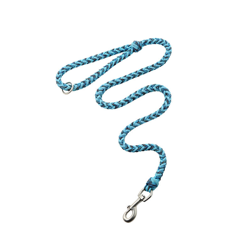 Collier et Laisse Lumineux Grand Chien Faits Main Anti-Traction - Image 13