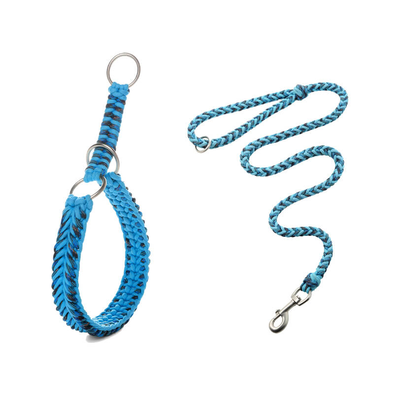 Collier et Laisse Lumineux Grand Chien Faits Main Anti-Traction - Image 14