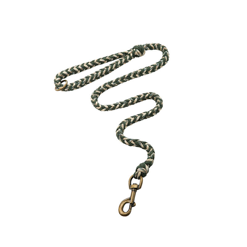 Collier et Laisse Lumineux Grand Chien Faits Main Anti-Traction - Image 16