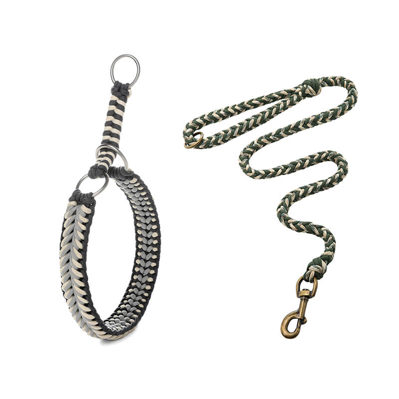 Collier et Laisse Lumineux Grand Chien Faits Main Anti-Traction - Image 18