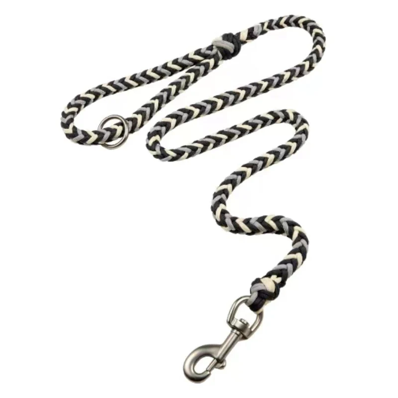Collier et Laisse Lumineux Grand Chien Faits Main Anti-Traction - Image 19