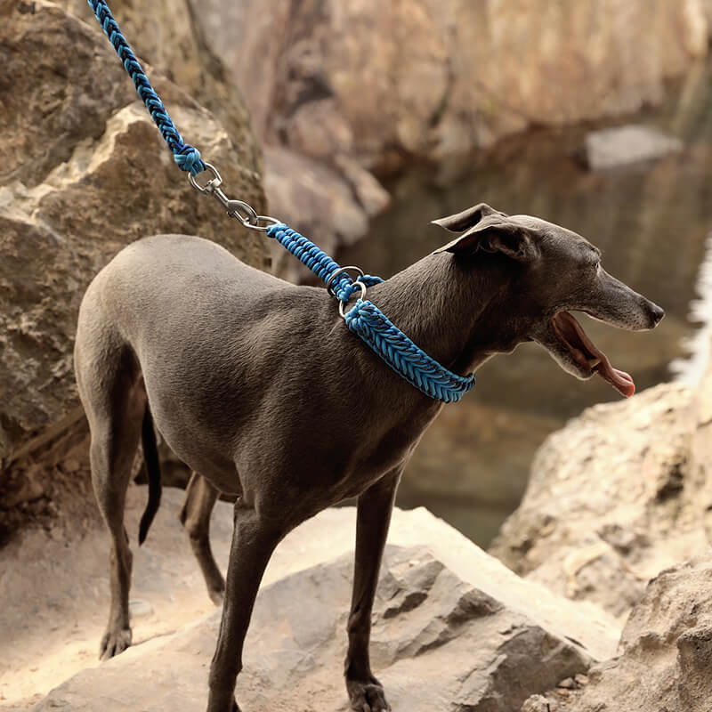 Collier et Laisse Lumineux Grand Chien Faits Main Anti-Traction - Image 3