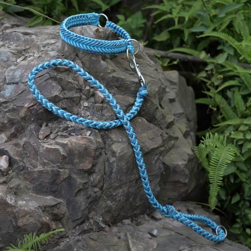 Collier et Laisse Lumineux Grand Chien Faits Main Anti-Traction - Image 5