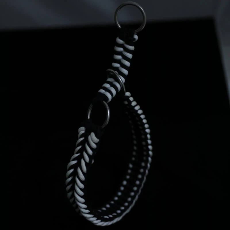 Collier et Laisse Lumineux Grand Chien Faits Main Anti-Traction - Image 6
