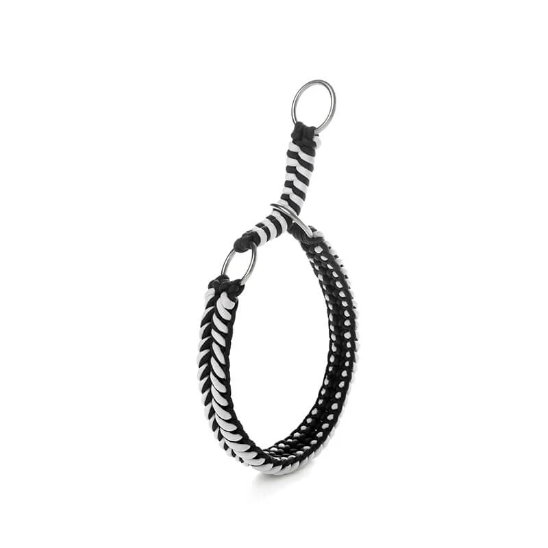 Collier et Laisse Lumineux Grand Chien Faits Main Anti-Traction - Image 9