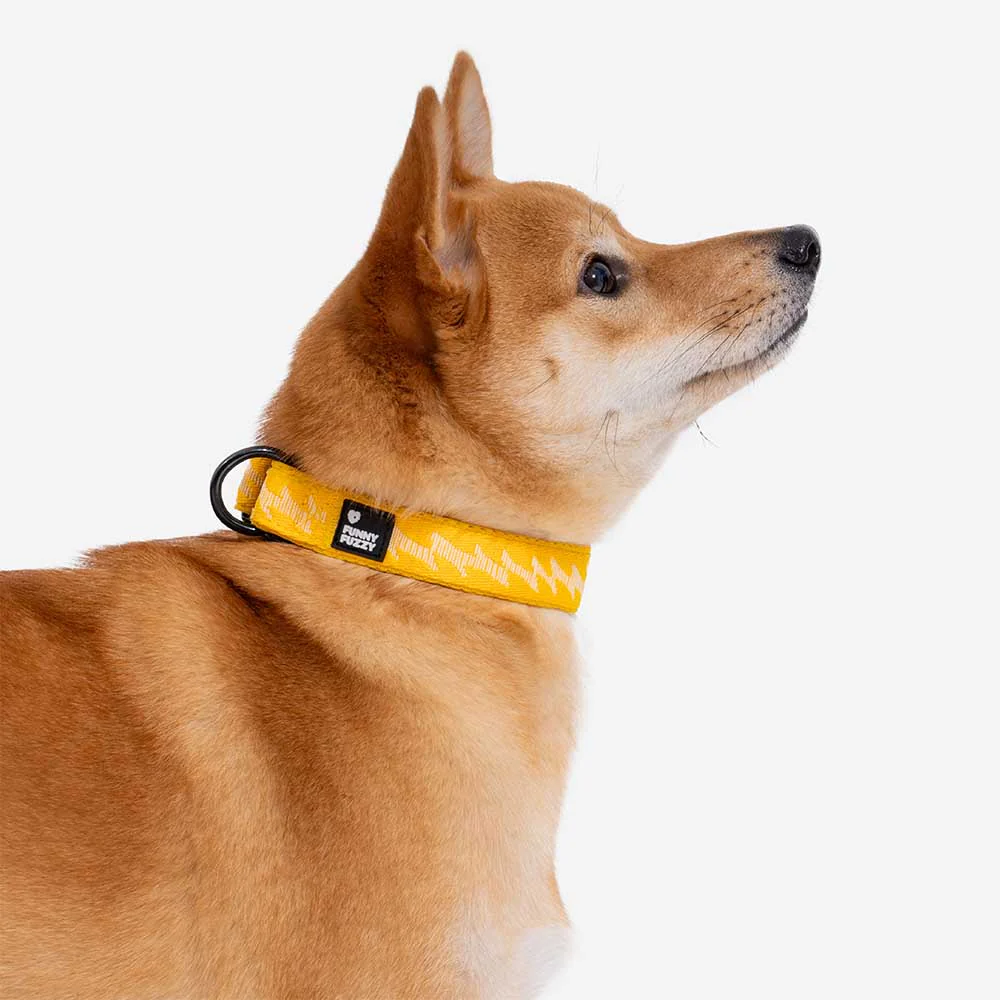 Collier pour chien réglable en nylon durable FUNNYFUZZY - Flexi Walker - Image 10