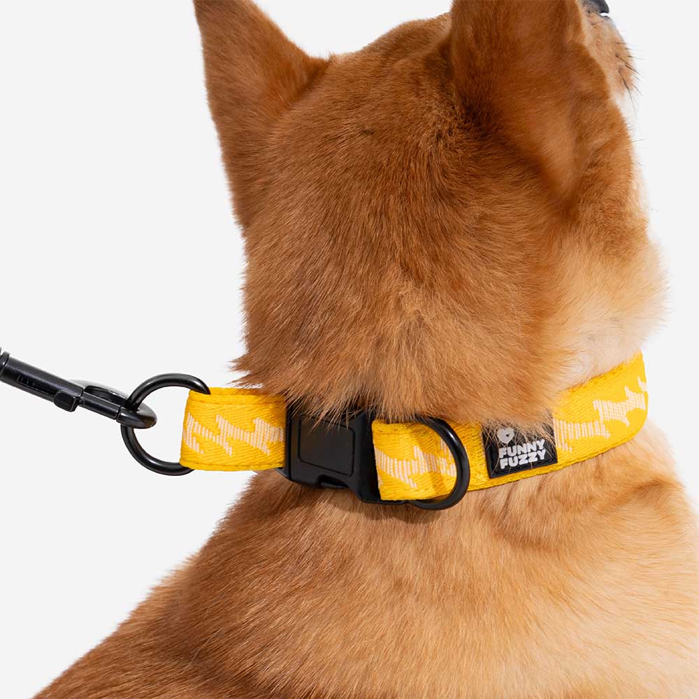 Collier pour chien réglable en nylon durable FUNNYFUZZY - Flexi Walker - Image 15