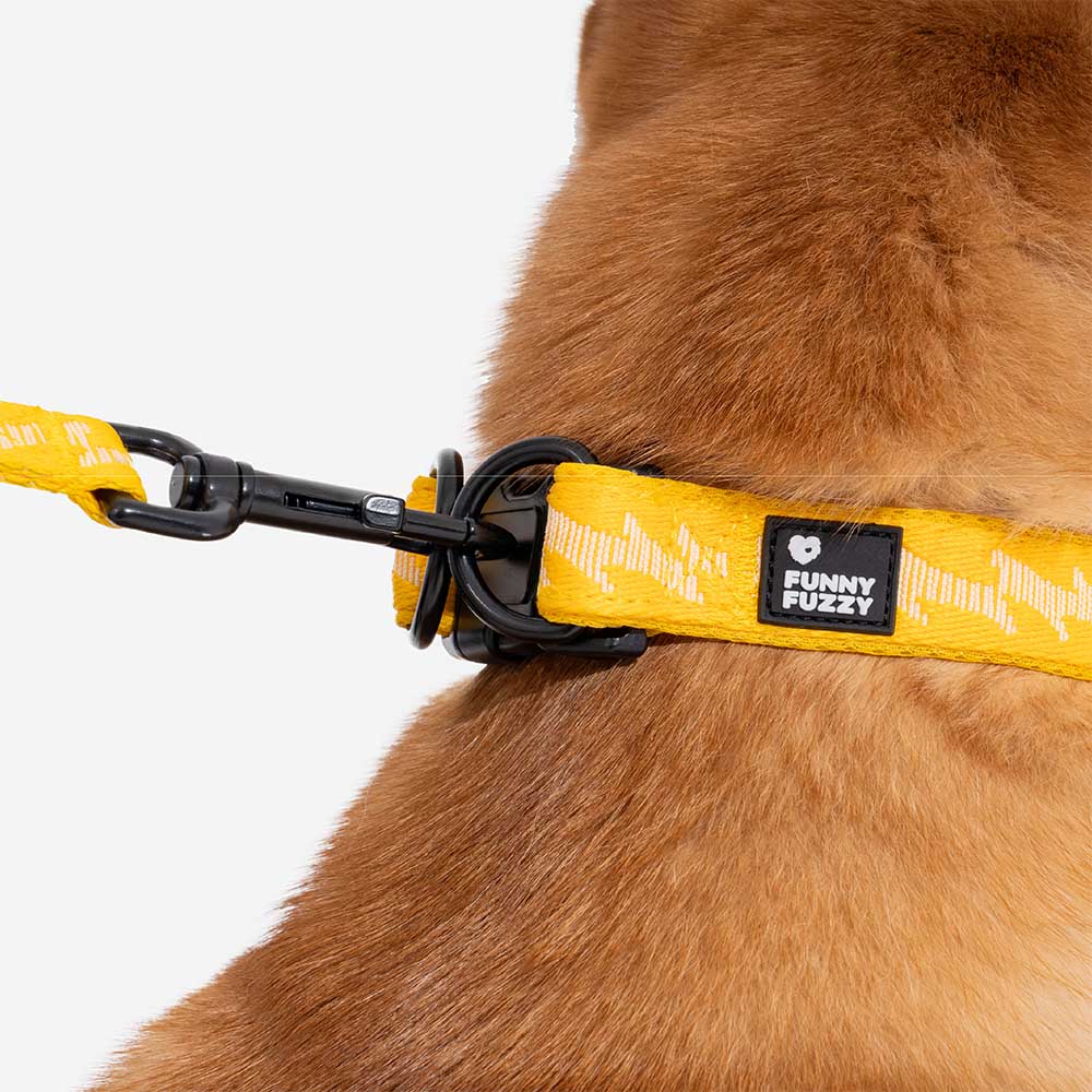 Collier pour chien réglable en nylon durable FUNNYFUZZY - Flexi Walker - Image 16