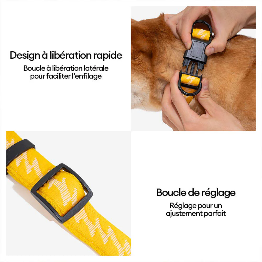 Collier pour chien réglable en nylon durable FUNNYFUZZY - Flexi Walker - Image 8