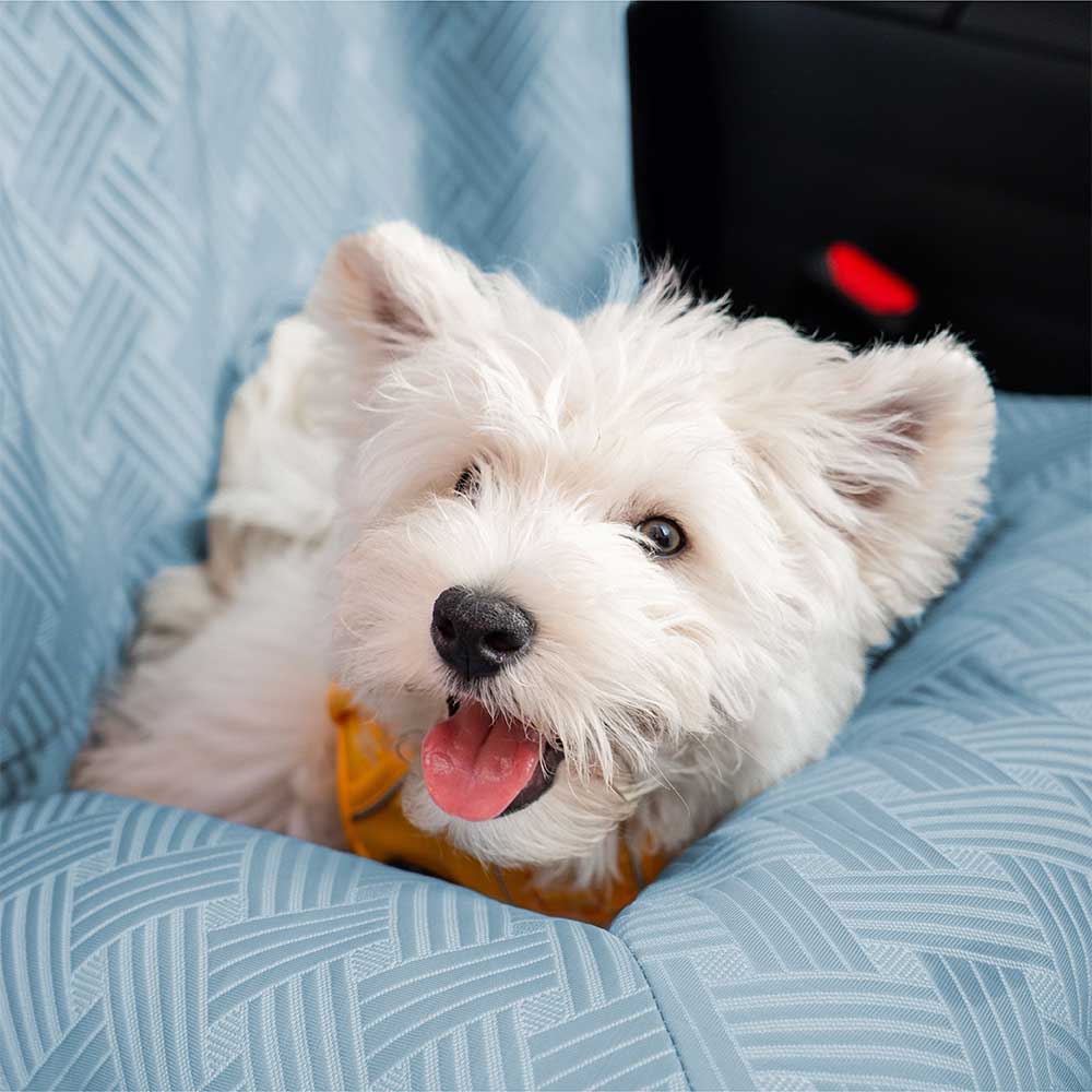 Coussin de sécurité pour chien grande taille Chill Rover pour voyage frais en voiture - Image 10