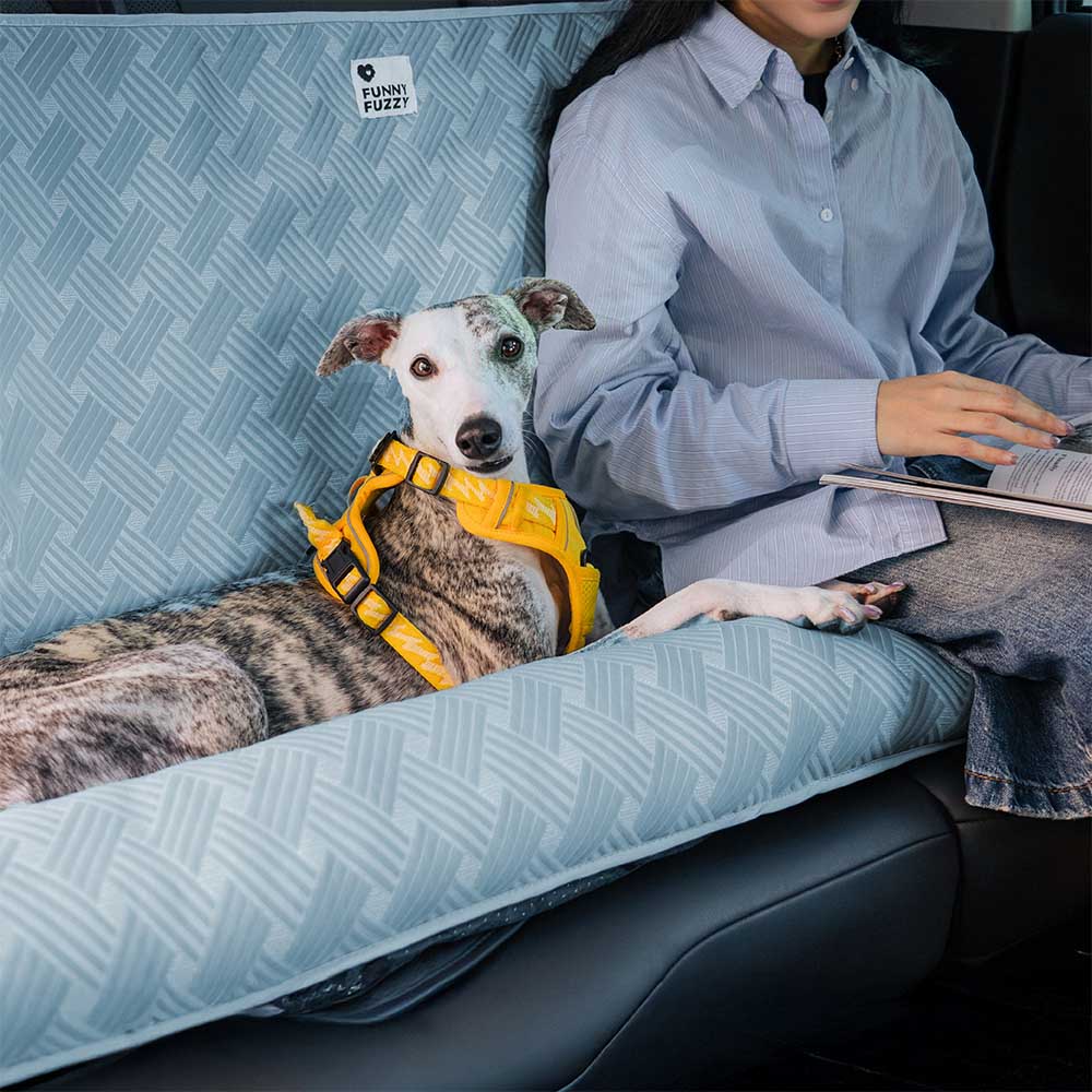 Coussin de sécurité pour chien grande taille Chill Rover pour voyage frais en voiture - Image 11