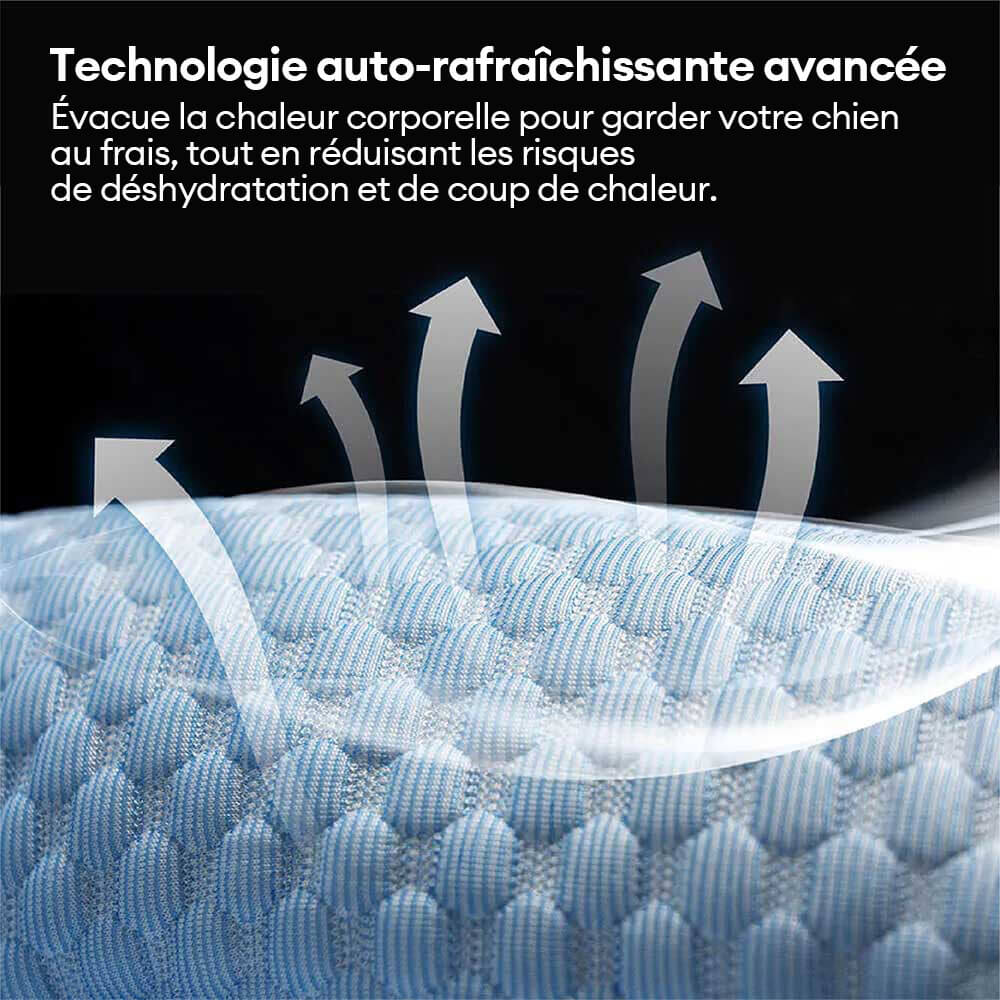 Coussin de sécurité pour chien grande taille Chill Rover pour voyage frais en voiture - Image 3