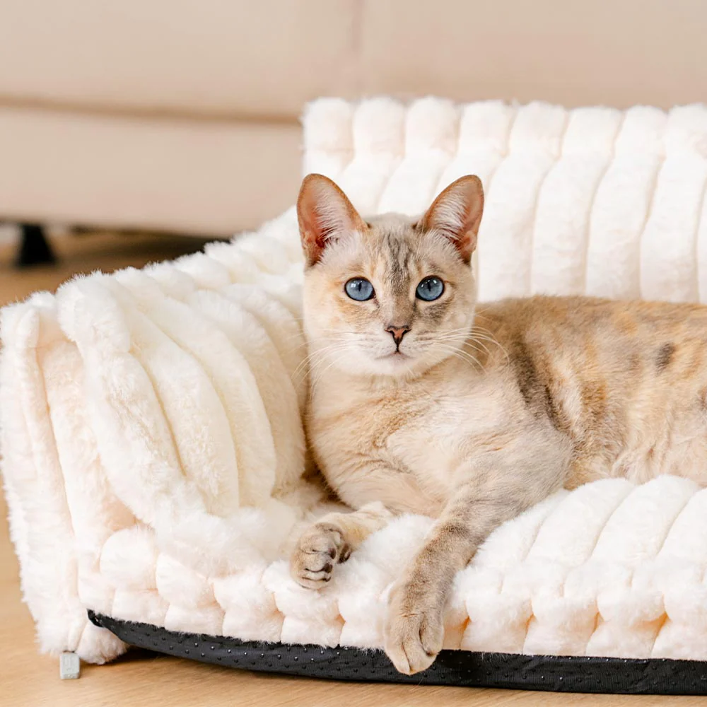 Coussin de soutien doux et apaisant lavable pour chat - Snoozy Dream - Image 14