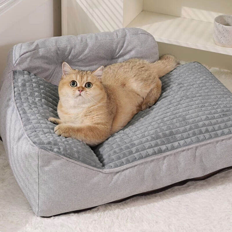 Couverture du Lit - Grand Lit Lavable Épais pour Animaux Convient pour Toutes Les Saisons - Image 10