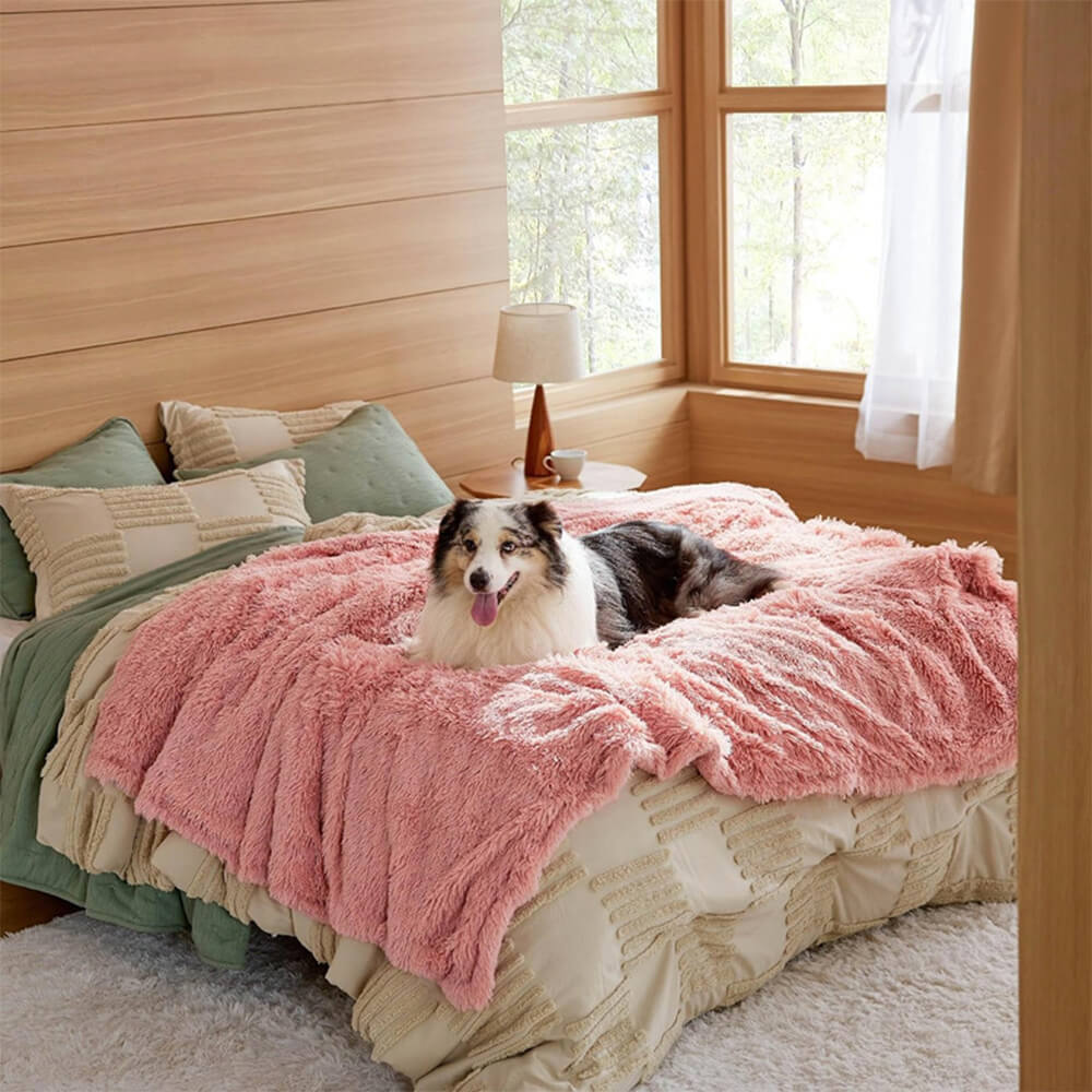 Couverture luxueuse en peluche imperméable et chaude pour chien - Image 10