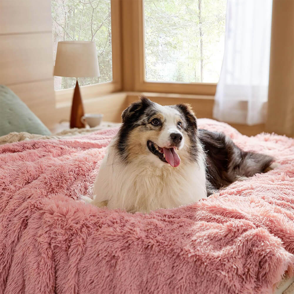 Couverture luxueuse en peluche imperméable et chaude pour chien - Image 4