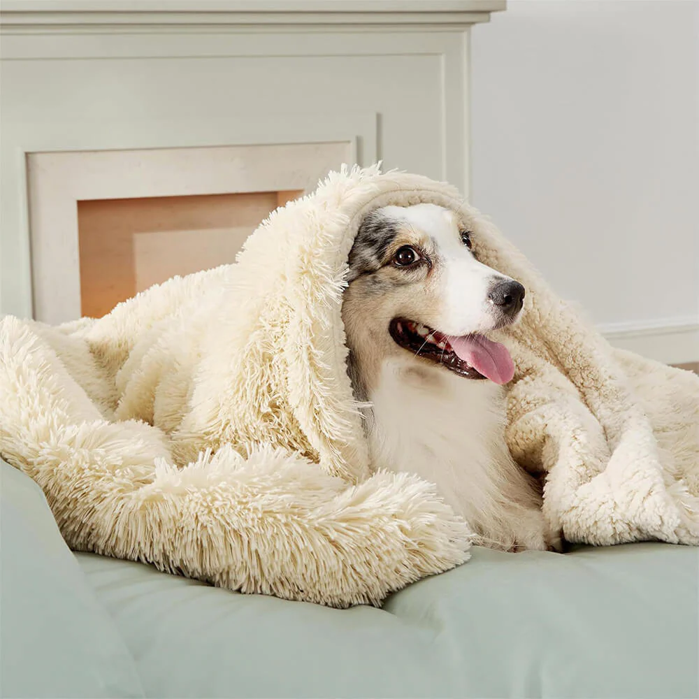 Couverture luxueuse en peluche imperméable et chaude pour chien - Image 6