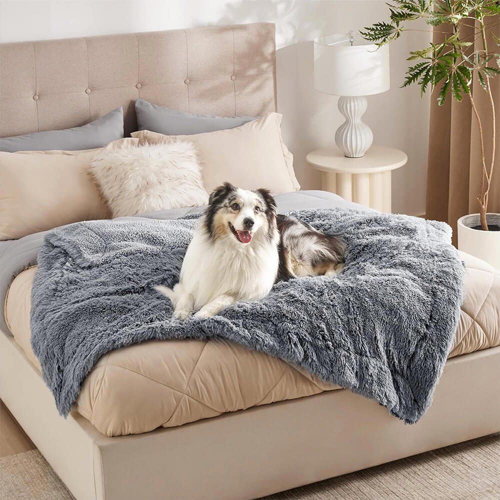 Couverture luxueuse en peluche imperméable et chaude pour chien - Image 8