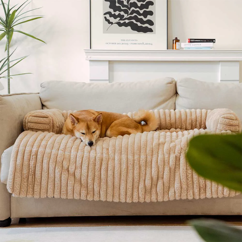 Couverture moelleuse pour canapé et tapis pour chien - Image 11