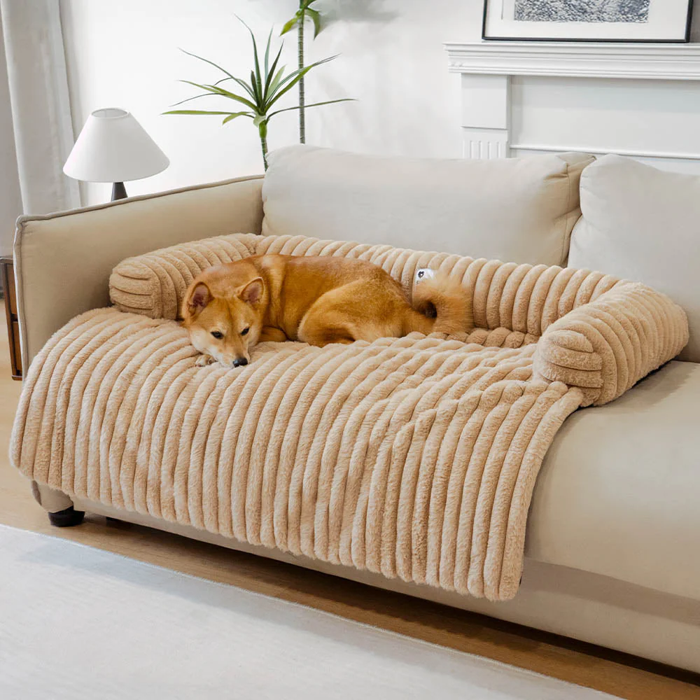 Couverture moelleuse pour canapé et tapis pour chien - Image 3