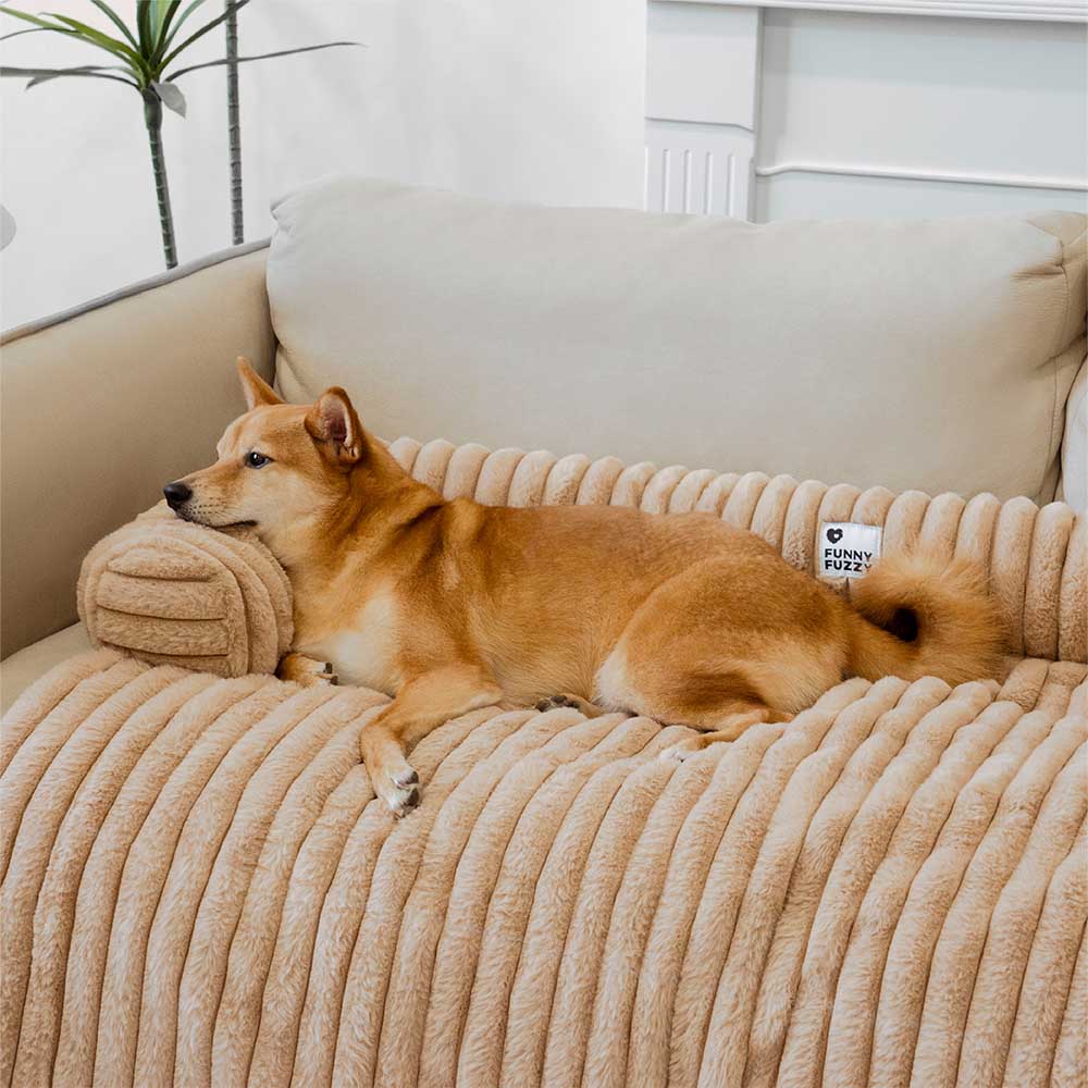 Couverture moelleuse pour canapé et tapis pour chien - Image 4