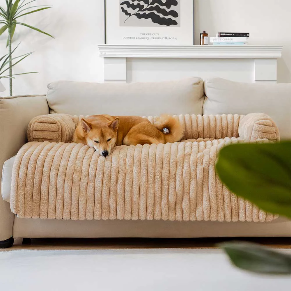Couverture moelleuse pour canapé et tapis pour chien - Image 5