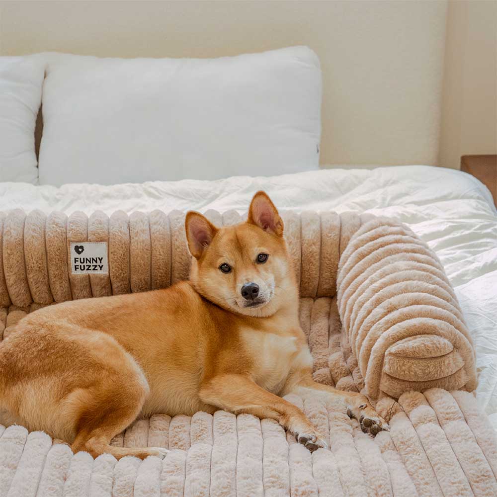 Couverture moelleuse pour canapé et tapis pour chien - Image 8