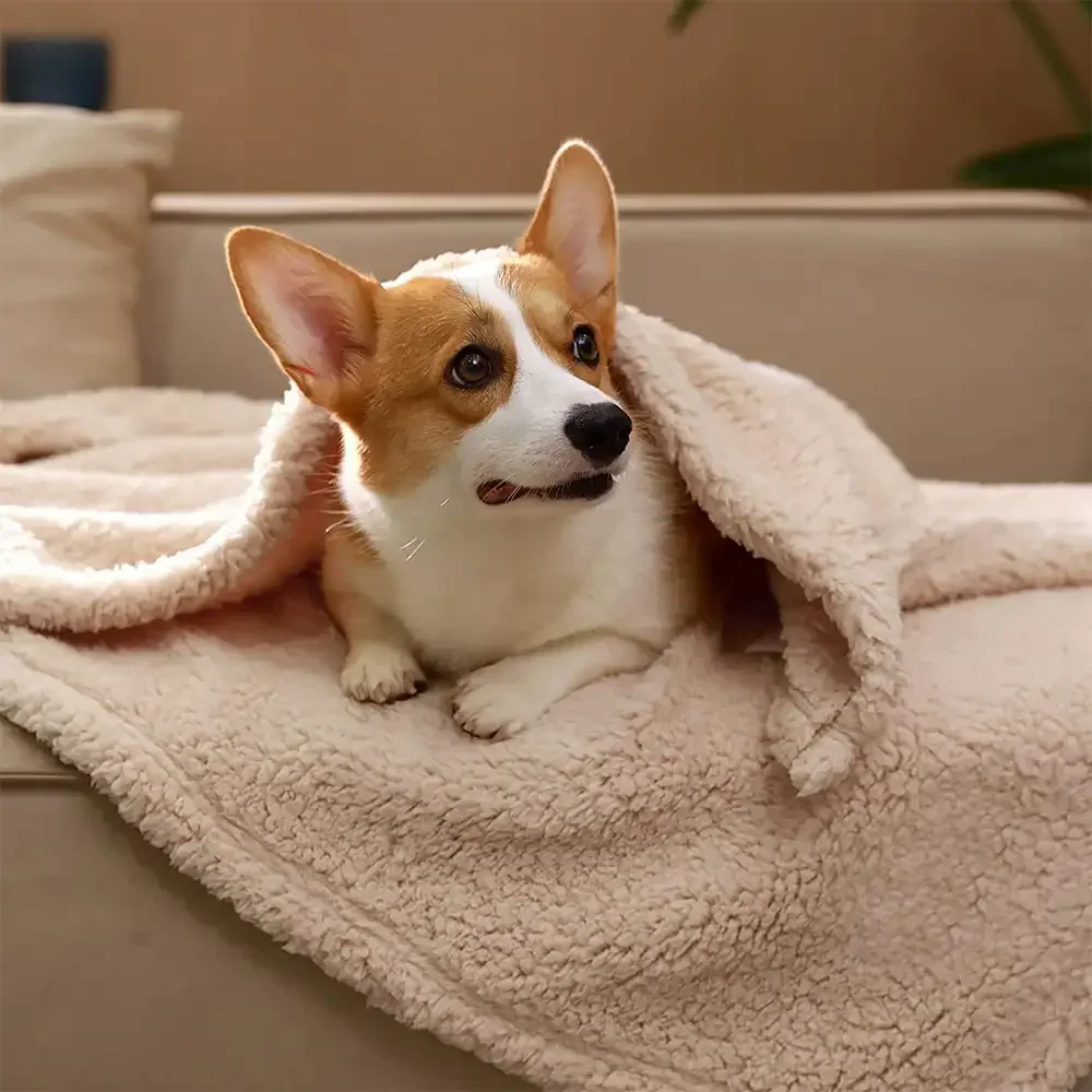 Couverture pour animaux en polaire confortable, chaude et multifonctionnelle.